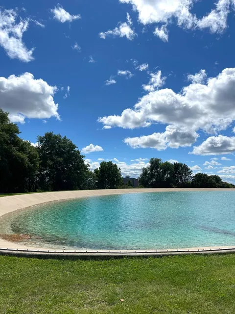 🌳 Rochester Weekend "Oxygen" Guide