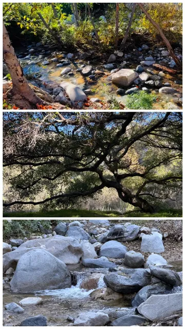 🌿 Hidden LA Hike: Gould Mesa Trail