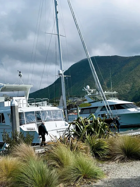 🇳🇿 New Zealand’s Fjords Aren’t Just About Milford—Picton Has Them To