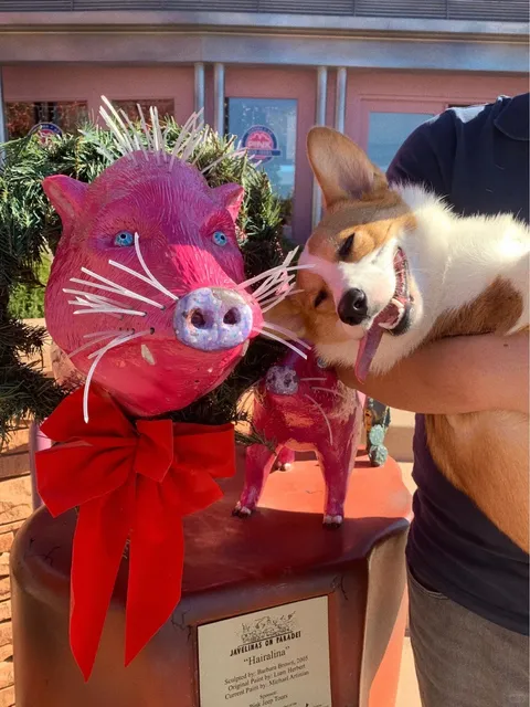 SEDONA | The Most Beautiful Small Town in the U.S. 🌷