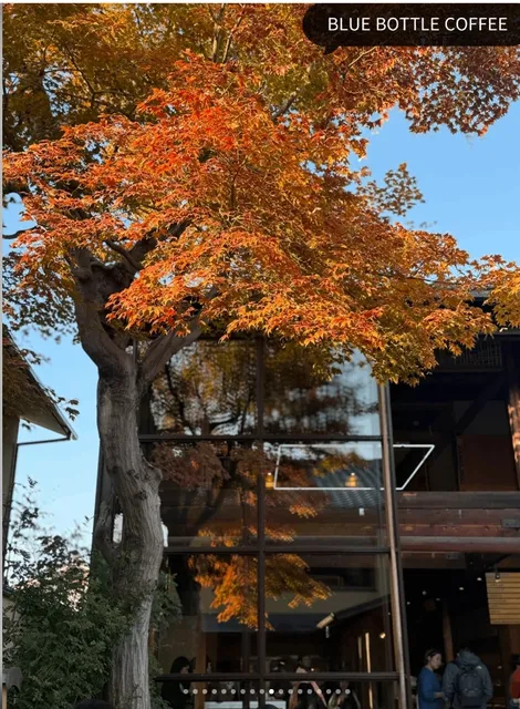 Most Worthwhile Coffee Shops to Visit 🌟