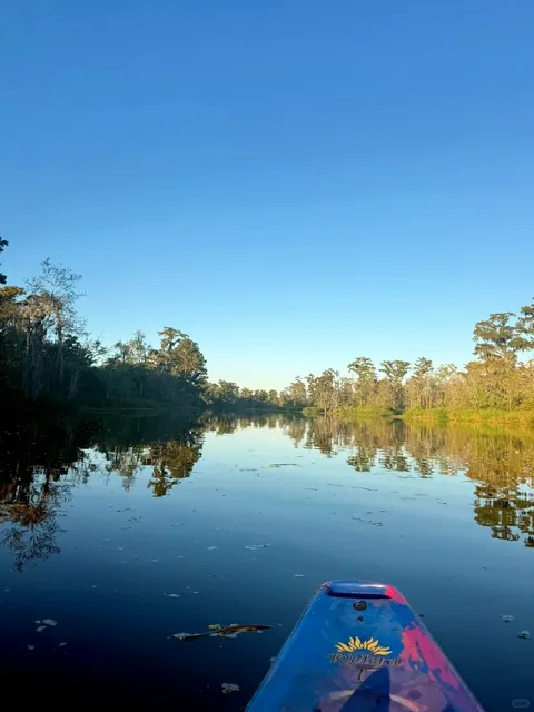 New Orleans | Southern Dreams | 3-Day Itinerary: Beyond the City 🌿