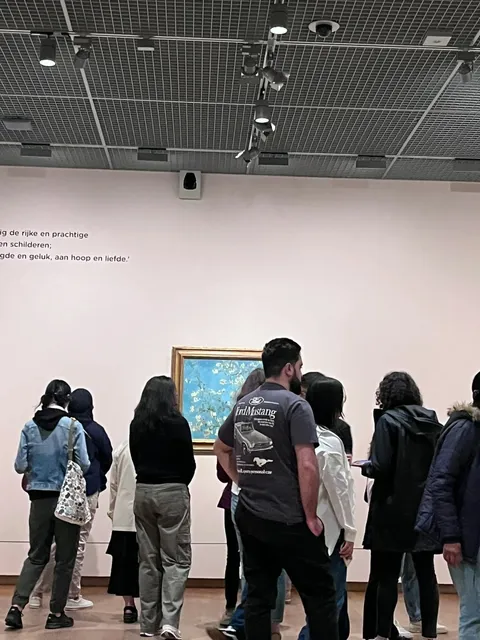 Amsterdam Travel Guide 🌷