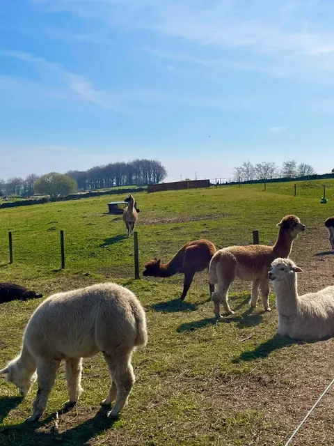 🇬🇧 Nottingham → Sheffield Day Trip (Part 1) | Ultimate Guide 🚆🌄