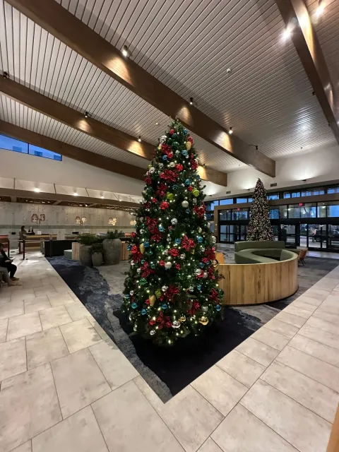 Absolutely Fantastic – A Perfect Way to Save Our Vacation! 🎉✨