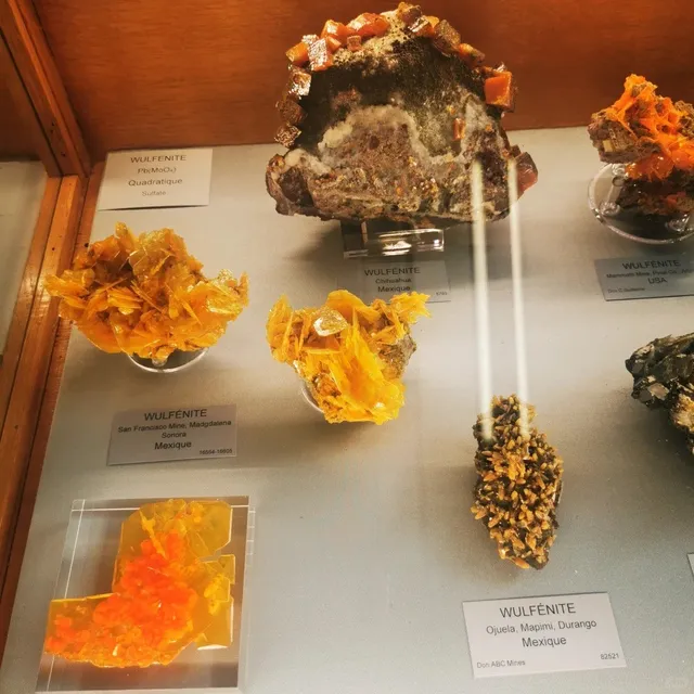Paris Mineralogy Museum– Ultimate Travel Guide! 💎✨