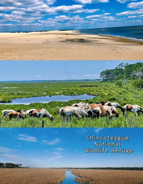 East Coast Travel ✅ 5 Virginia National Parks 📷 Picture-Perfect Spots