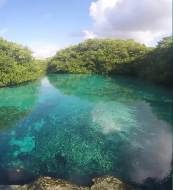 🌊 Tulum Cenote Diving: A Magical AOW Adventure! 🤿✨