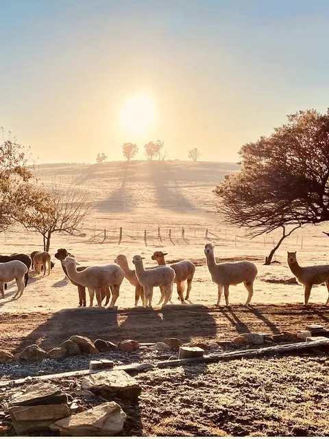  Canberra: An Underrated Hidden Gem of a City