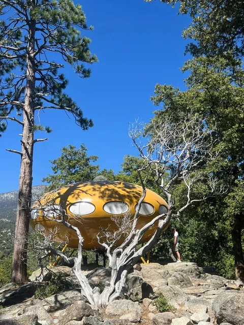 Back to the Future｜The Romantic 1960s Vision of Space 🚀✨