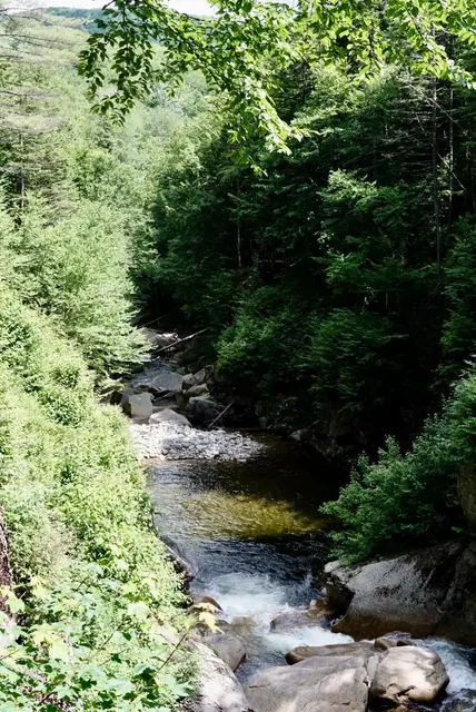 ​​White Mountain Day Trip​​