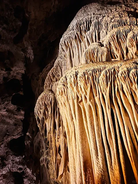 “The Hellbat Cave 🦇”  