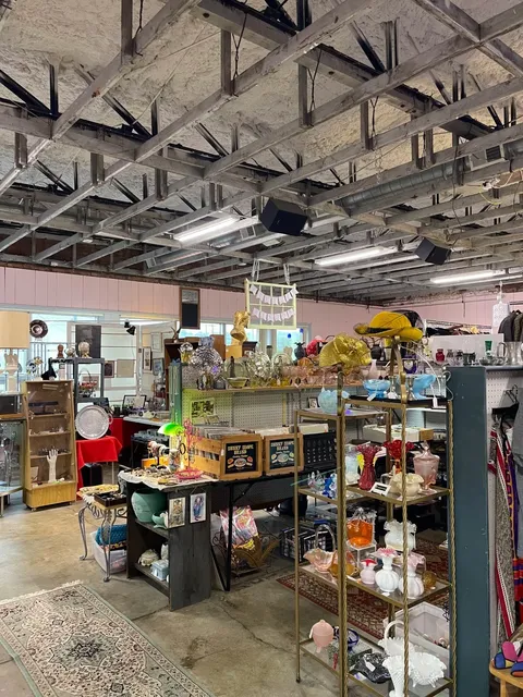 Flamingo Haven Vintage Finds in Cincinnati 🦩