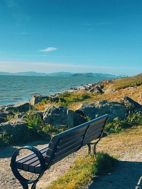 Berkeley 🧩 | Hidden Park & Authentic Korean Food 🤩