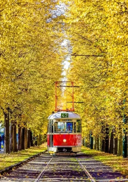 🇨🇿 Prague | Explore Like a Local