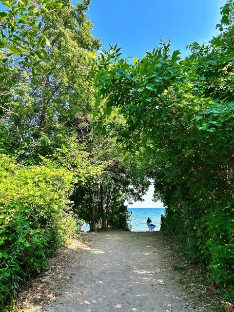 Rattray Marsh - Where CN Tower Meets Wilderness 🌿  