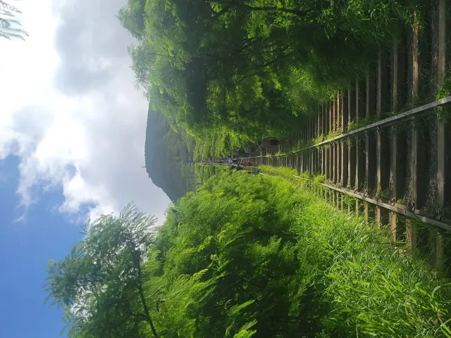 Wow! The View is Absolutely Breathtaking! 🏞️✨