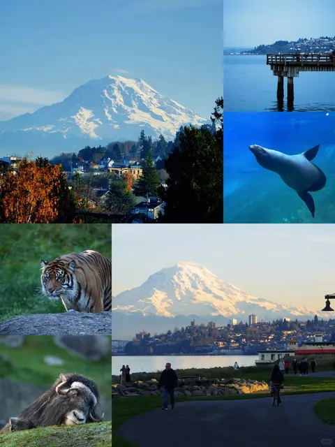 Day Trip Around Point Defiance