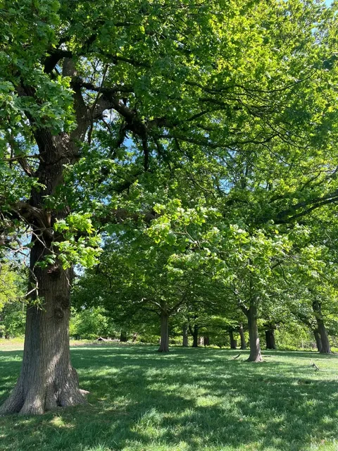 🌸 Spring in Richmond: Art, Coffee & Good Vibes ☕🎨