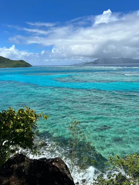 🌴 Fiji Travel Guide: 18 Chill Vibes in Paradise 🇫🇯