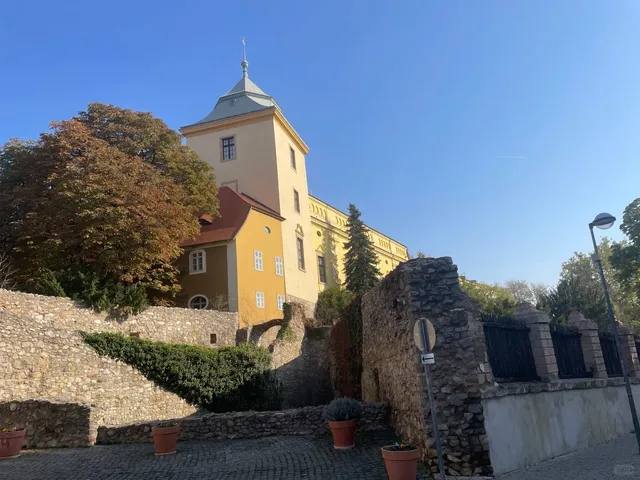 🗺️ Day 10: 16-Country Europe Tour (31) – Pécs, Hungary 🇭🇺