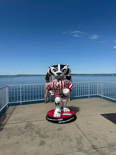 Madison｜Poke Plus' Teriyaki & Donburi Bowls 🍱