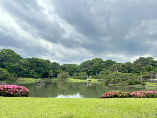 If you want to daydream and just zone out, this place is perfect!