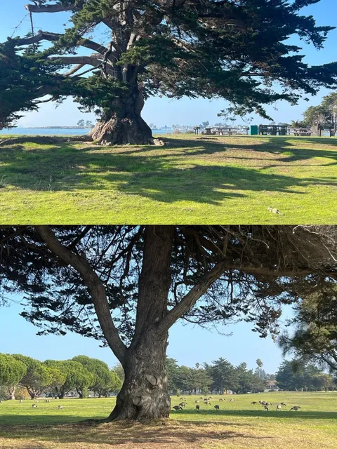 Bay Area Kid-Friendly Trip｜Alameda Hidden Gem Beach