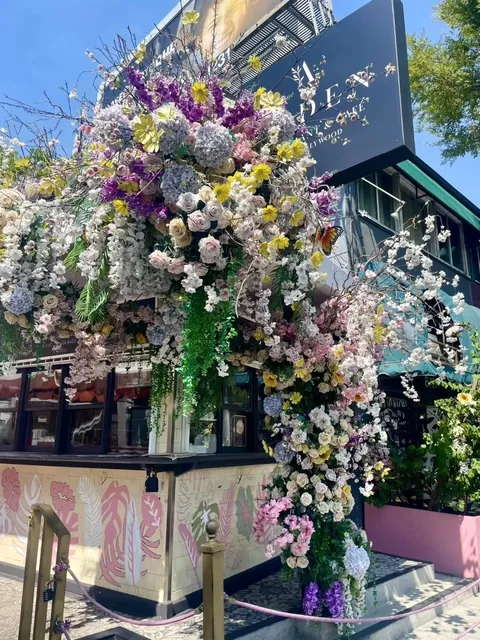 📍Hidden Gem in LA with Dreamy Vibes | Arden Café