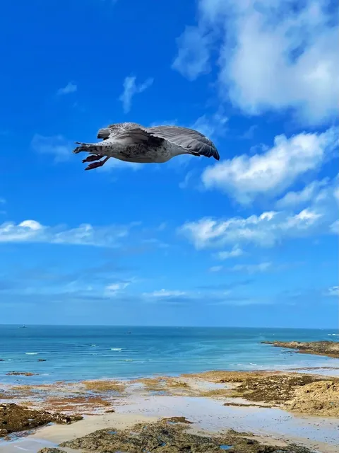 🇫🇷 Saint-Malo Day Trip Guide: Pirates, Pastries & Tides! 🏴‍☠️🌊