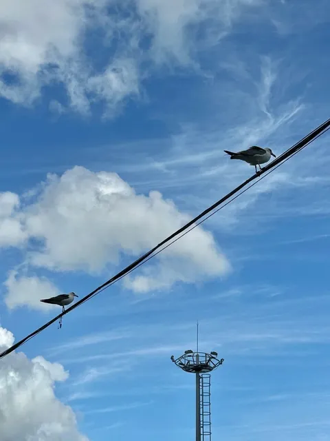 🇰🇷 Incheon | More Than Just an Airport ✈️