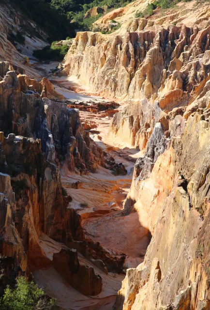 🚀 Madagascar Hiking: Where Every Step Rewrites Your Soul's Dictionary