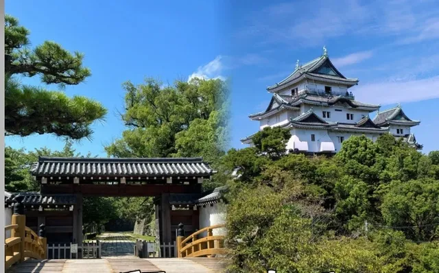 🌿🍃 Wakayama 🌸🌺