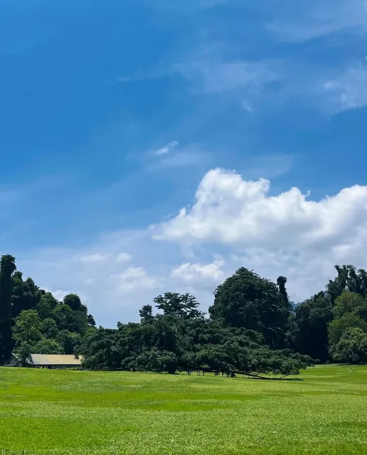 In Sri Lanka 🌸, I found the spring planted by Premier Zhou Enlai.