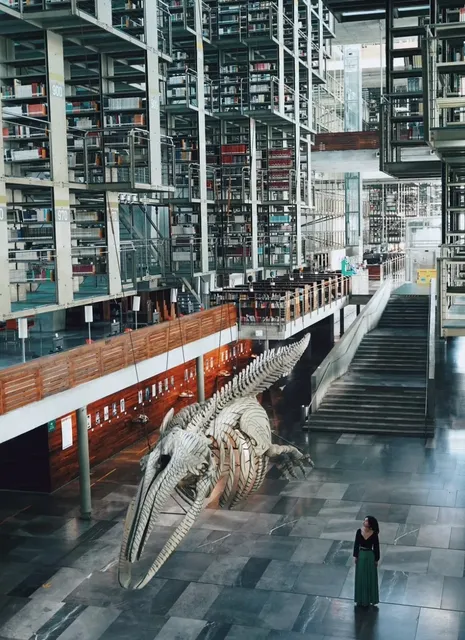 Biblioteca Vasconcelos | Mexico City's Cyberpunk Library