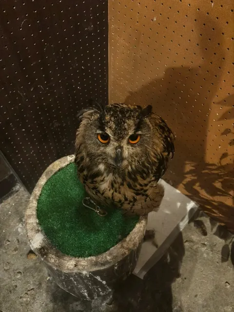 Hamamatsu Nukumori no Mori 🌲