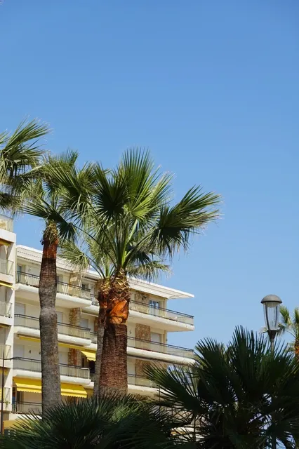 🇫🇷 Antibes: A Lazy Day in Monet’s Playground