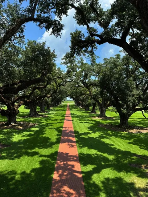 New Orleans NOLA Travel Guide | 4 Must-Visit Experiences