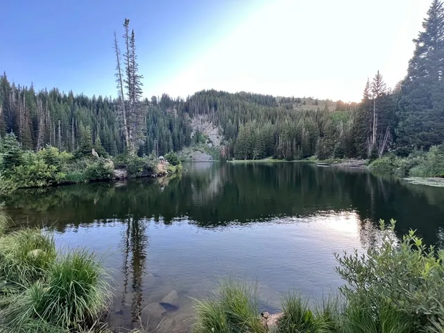 🇺🇸 Emerald Lake, Lush Forests 🍃 Hiking