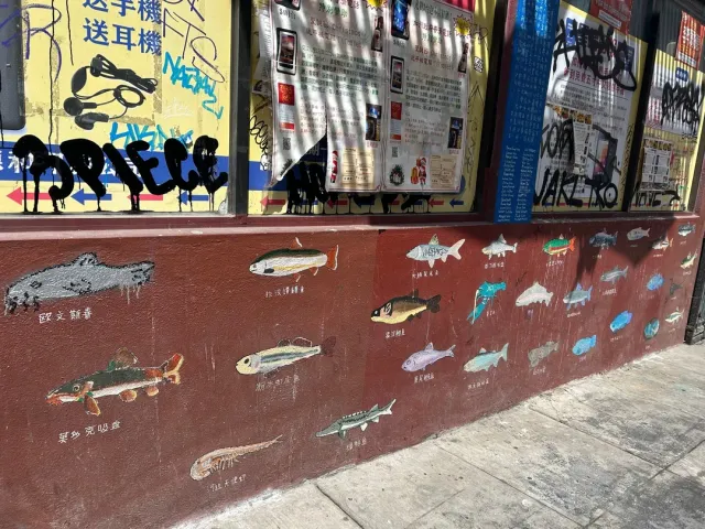 Chinatown Alleyway Tours: A Must-Visit SF Experience! 🏮✨