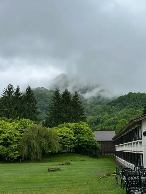 Oirase Gorge in Northeast Japan🌊