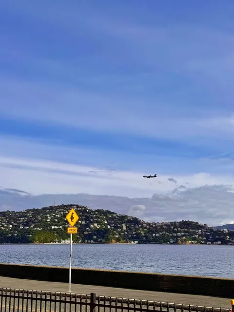 Wellington — I Can Never Say No to This Lobster Sandwich! 🥪