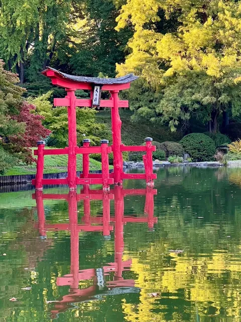 Japanese Hill-and-Pond Garden