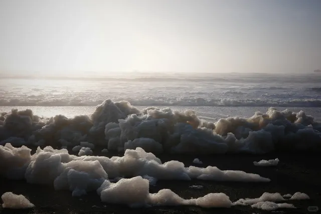 Is This the Best Beach in the Far Northwest of the US? 🌊