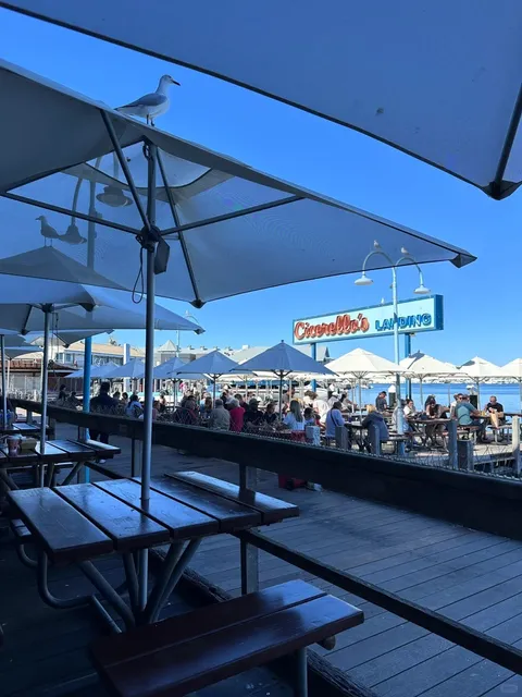 A Perfect Day in Fremantle 🏘️✨