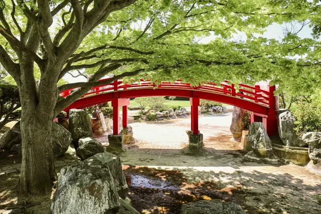 🌸🌉Japanese Friendship Garden: Silicon Valley’s “Chill” Oasis… or Not