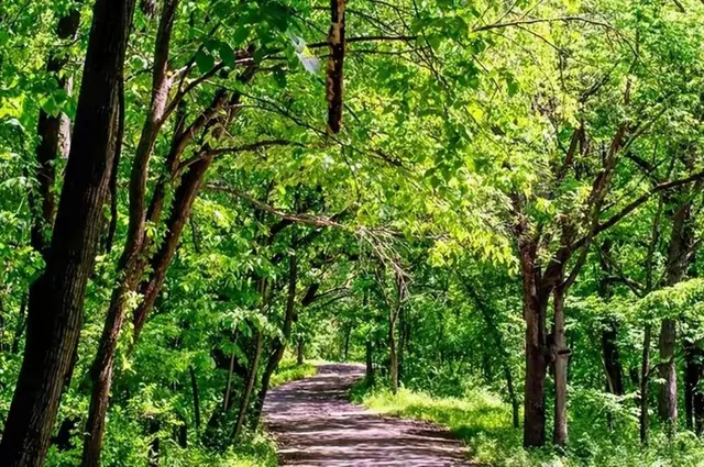 Kansas City (Part 3): The One That’s Not the State Capital