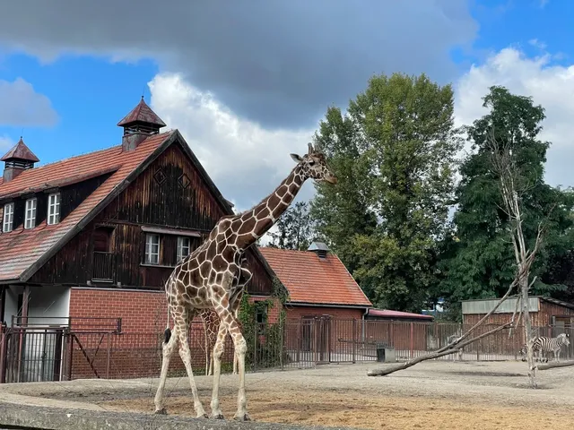Wrocław Zoo 🐘🎉 - Celebrating 150 Years of Wild Wonders!