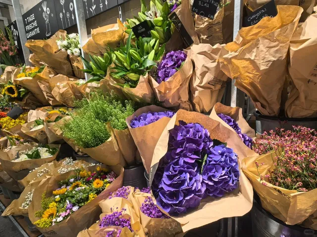 Germany Day 76 | A Day Trip to Berlin