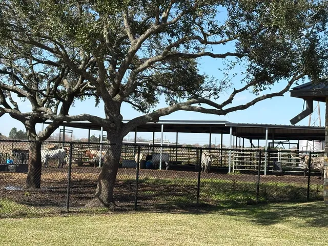 🚀 NASA Houston Day Trip – A Must for Space Lovers! 